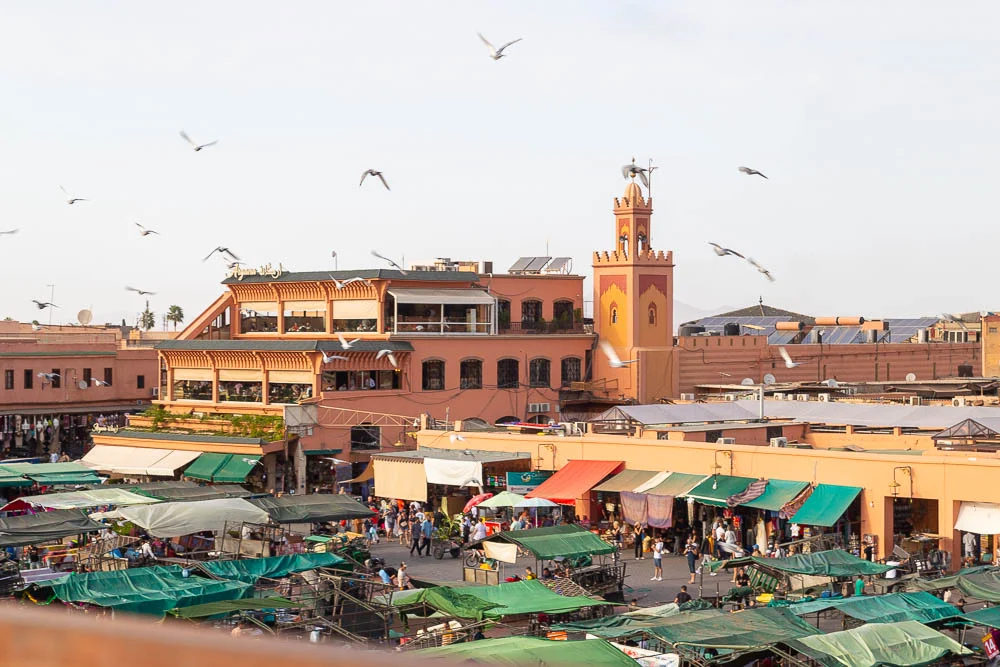 8 Best Things to Do in Marrakech