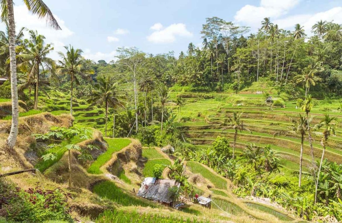 Best, Most Exciting and Unique Things to Do When Visiting Bali